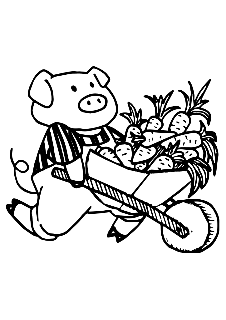 Draw A Pig Coloring Page