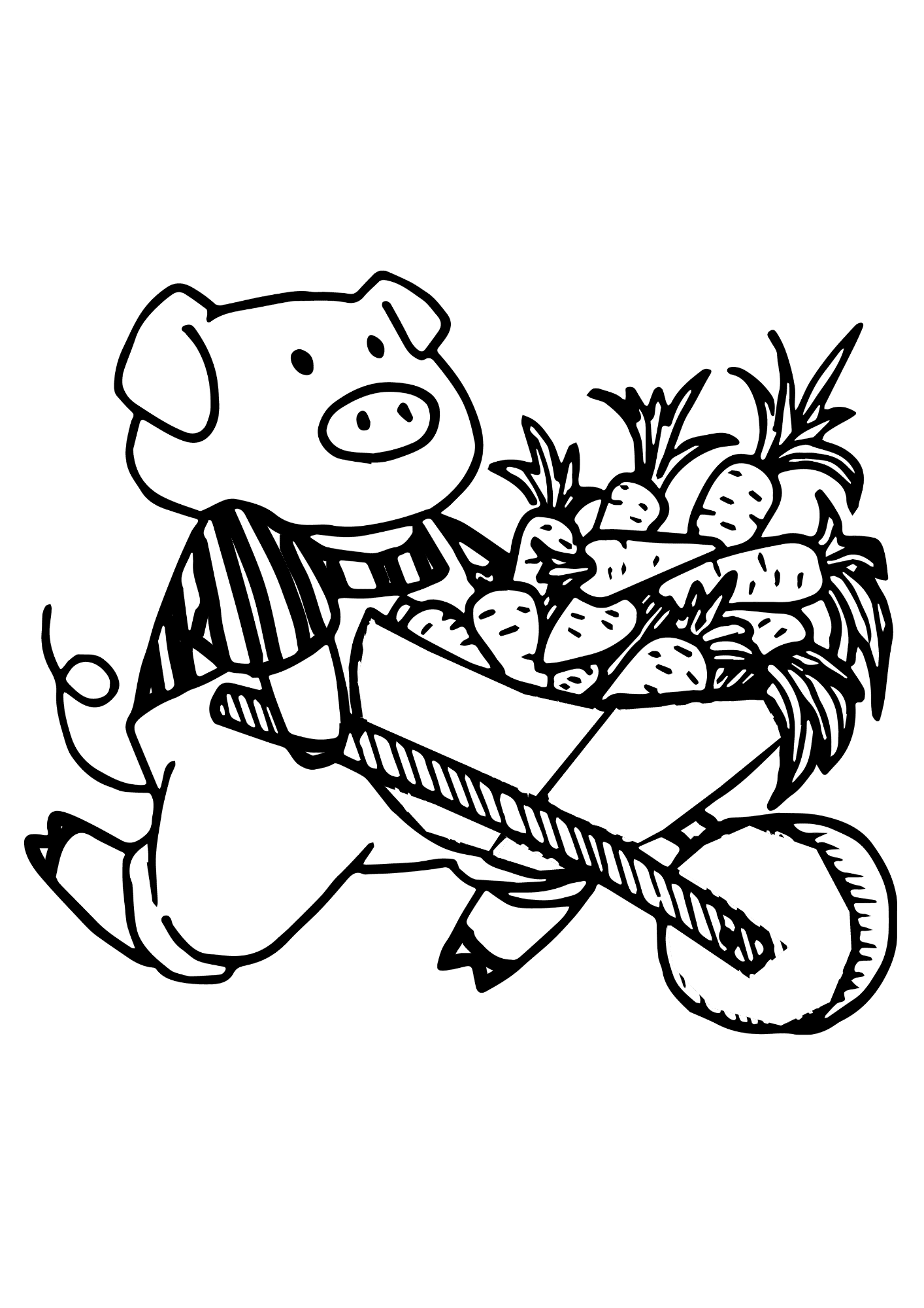 Draw A Pig Coloring Page