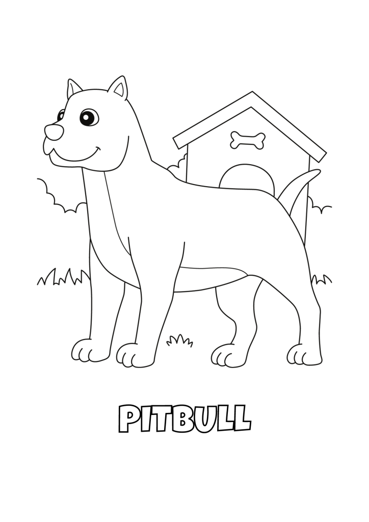 Pitbull Coloring Page For Kids
