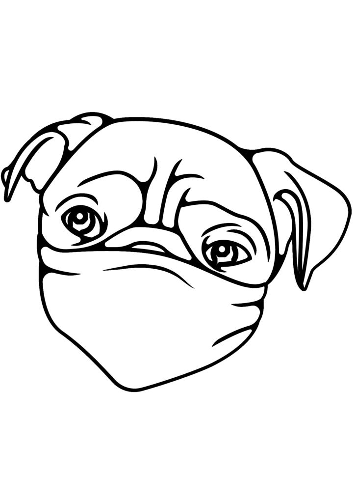 Face Of Pitbull Coloring Page