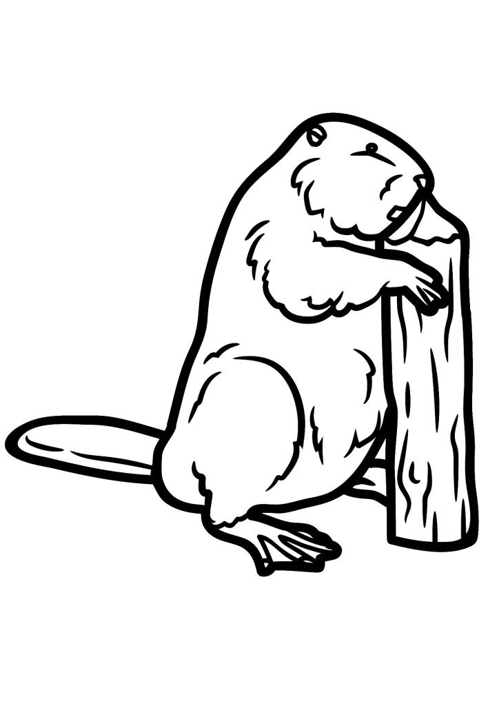 Beaver Free Image Coloring Page