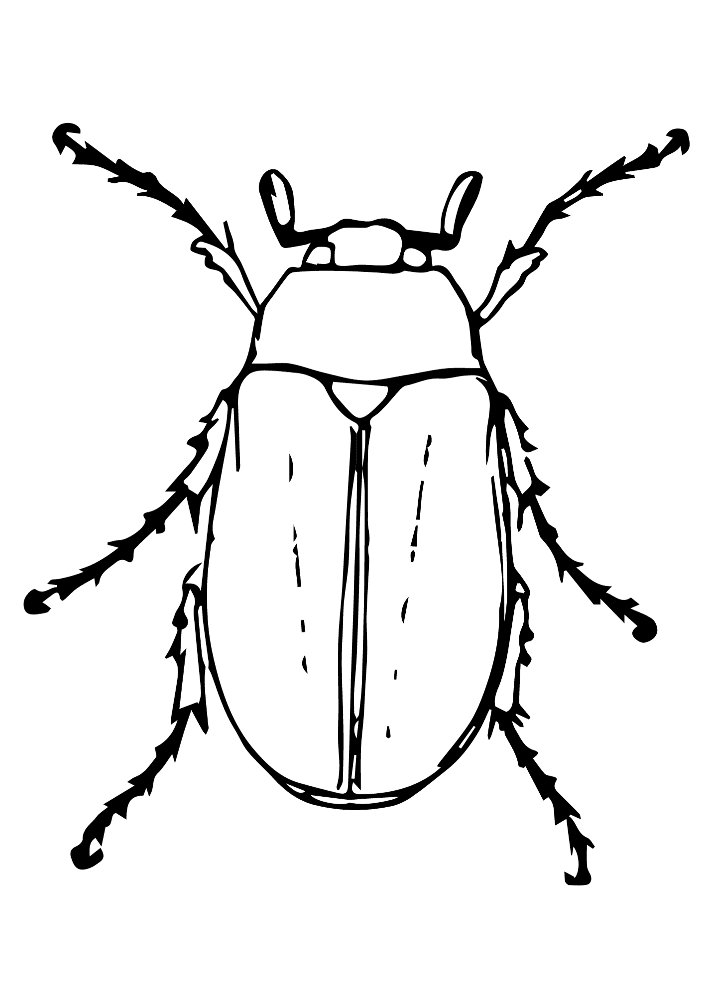 Beetle Insect Animal Coloring Page