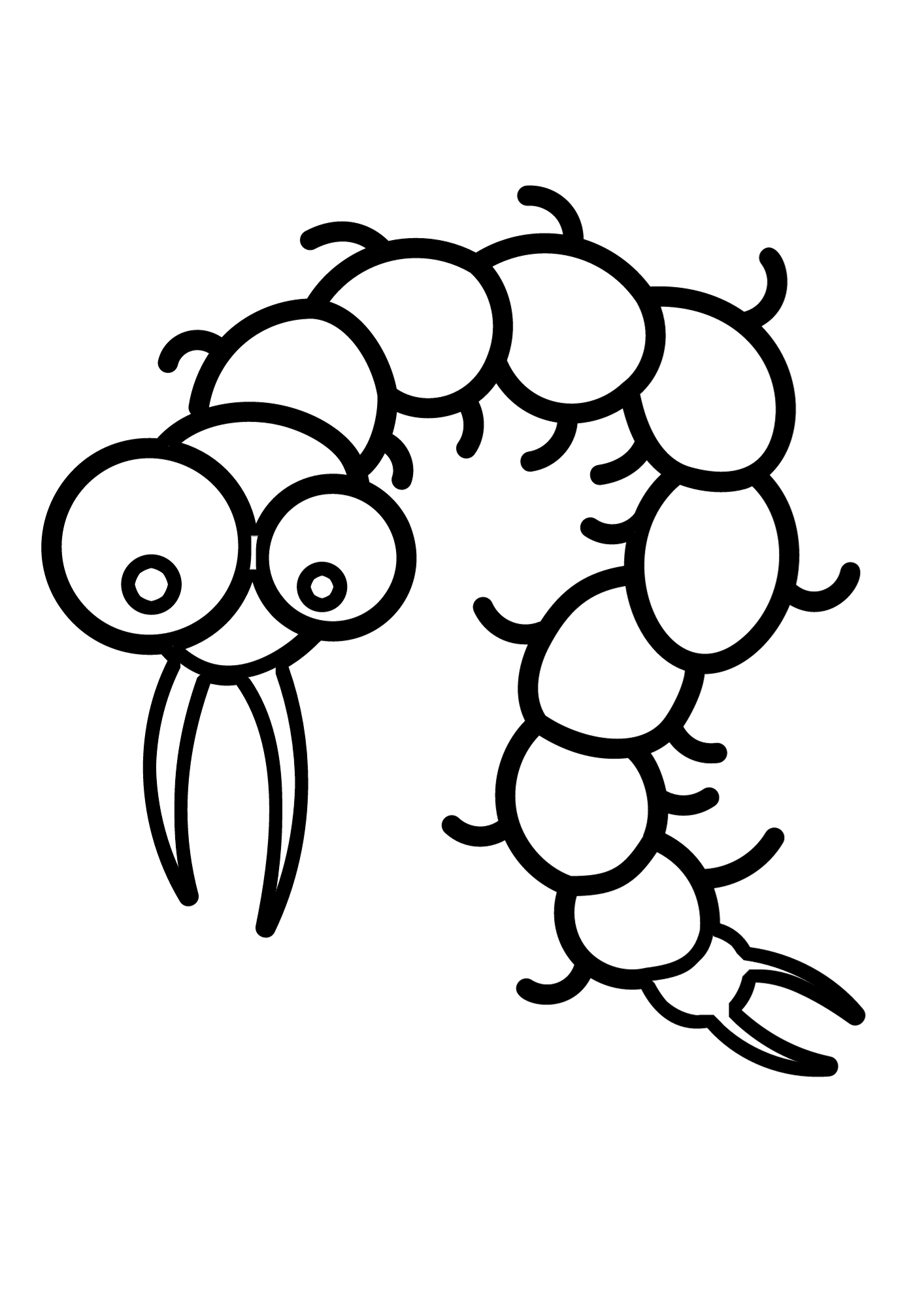 Centipede Black And White Coloring Page