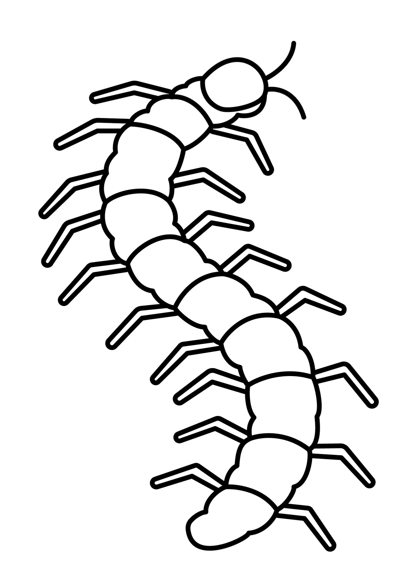 Centipede Outline Coloring Page