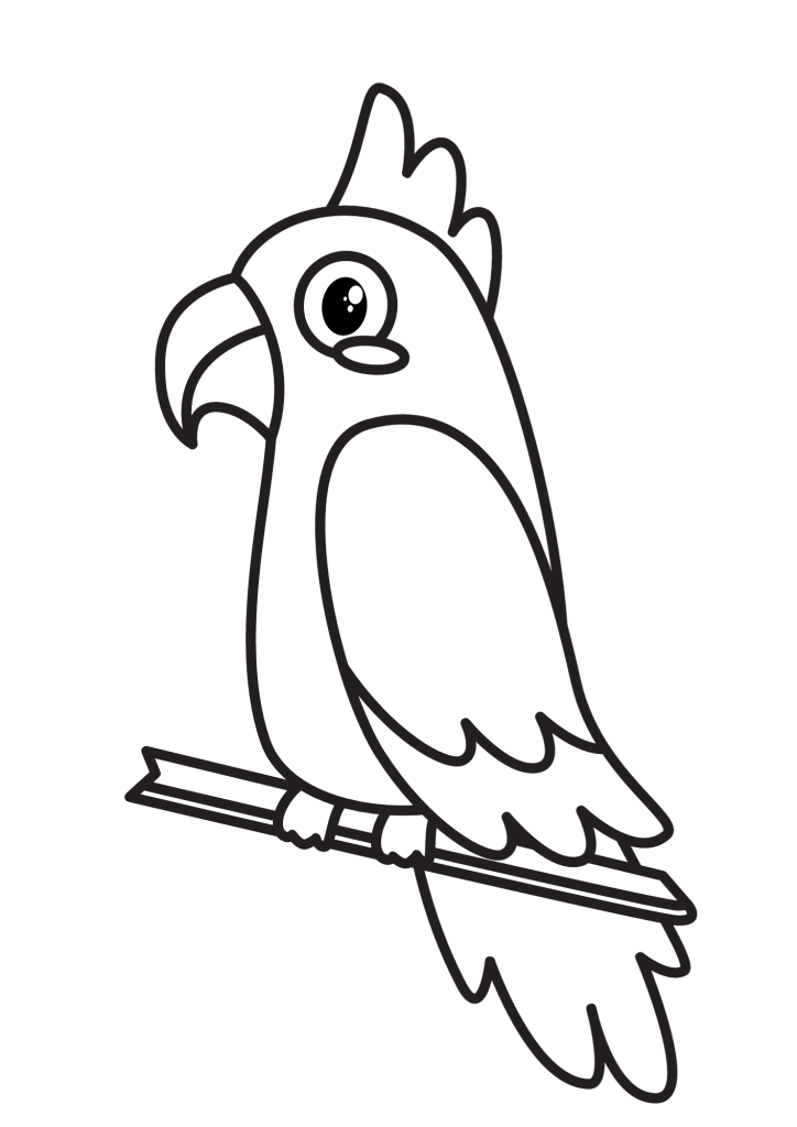 Cockatoo Drawing Coloring Page