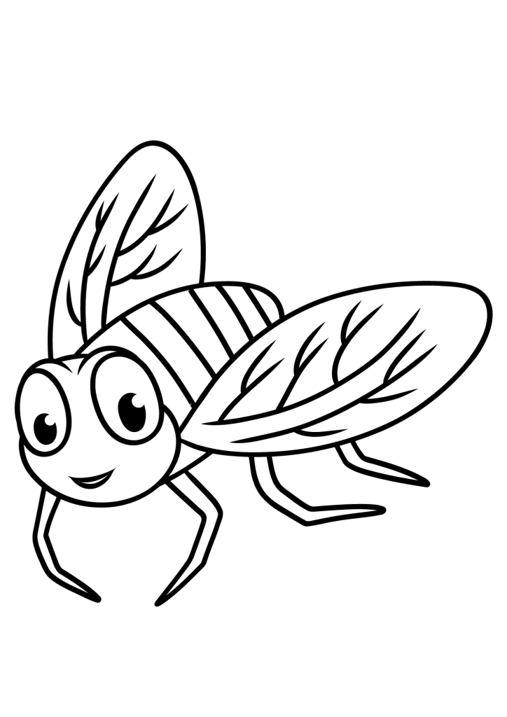 Cute Fly Coloring Pages