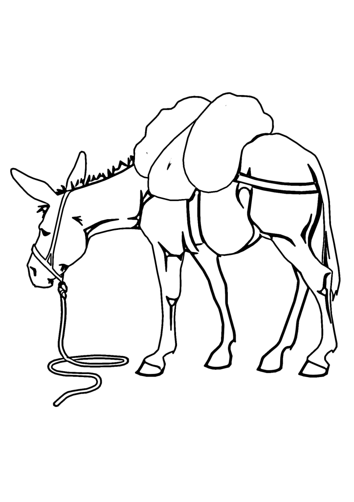 Donkey Image Coloring Page