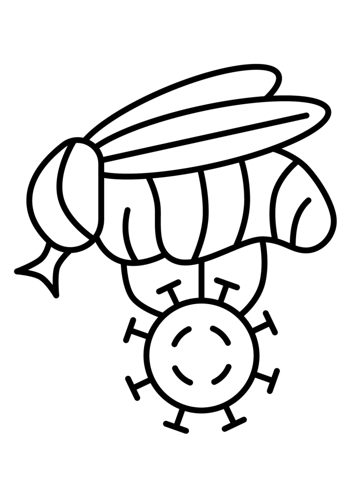 Fly Clip Art Coloring Pages To Print