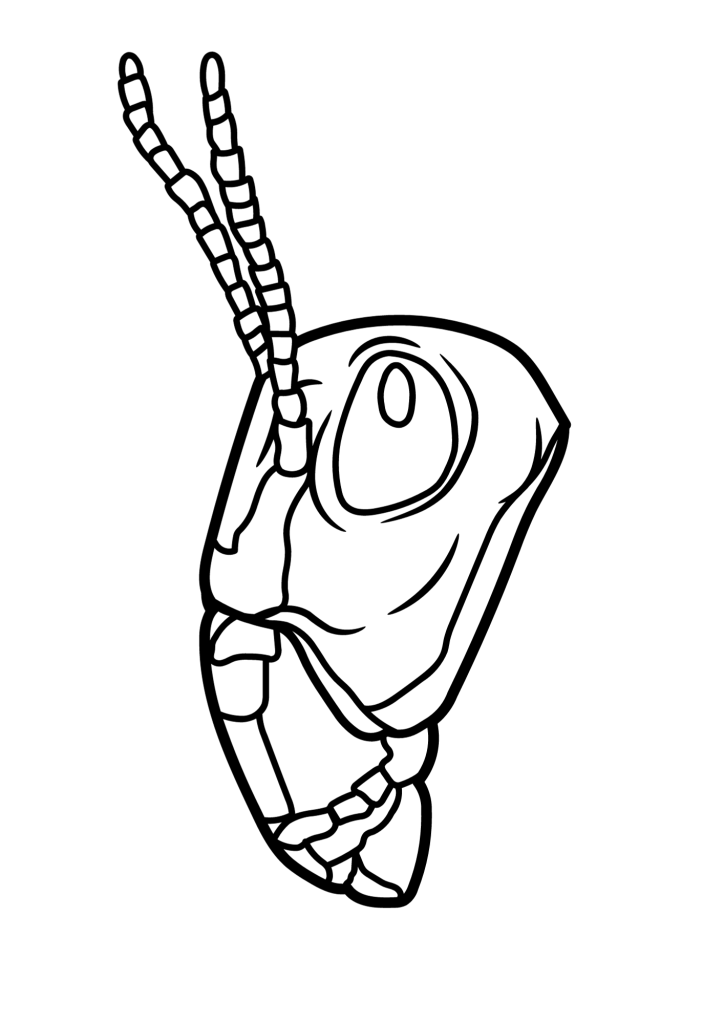 Flying Grasshopper Face Coloring Page