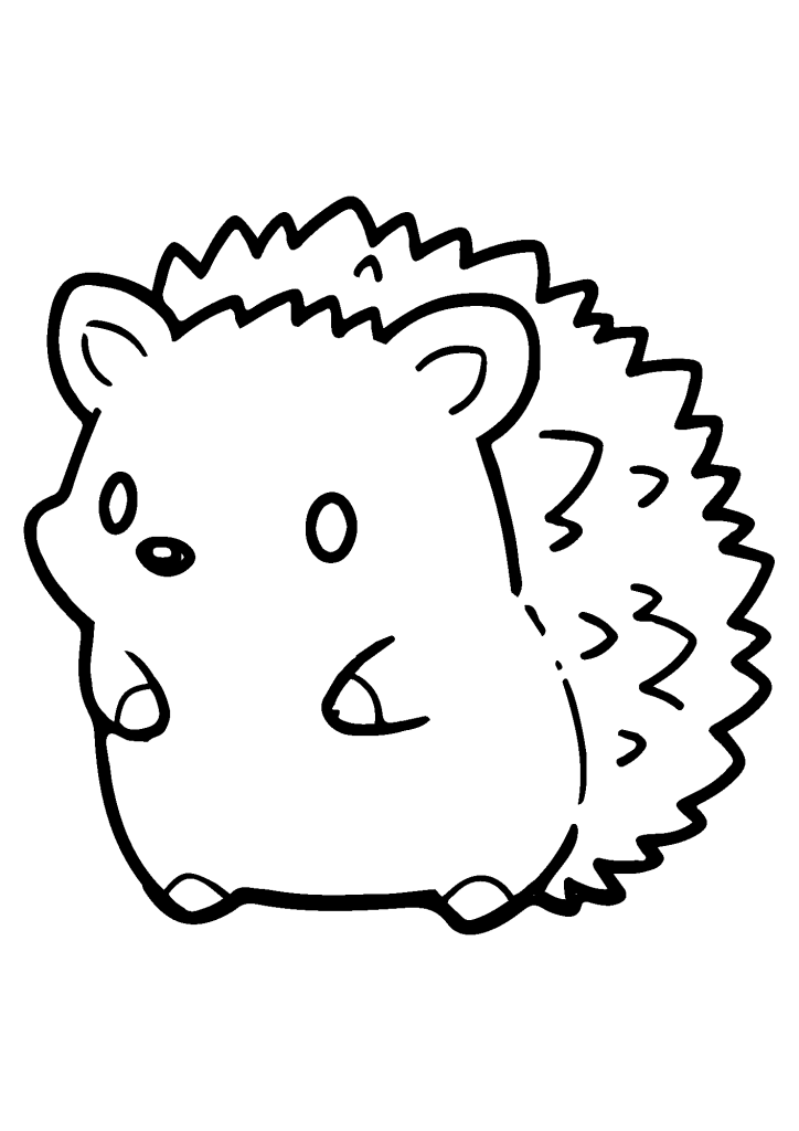 Hedgehog Image For Children