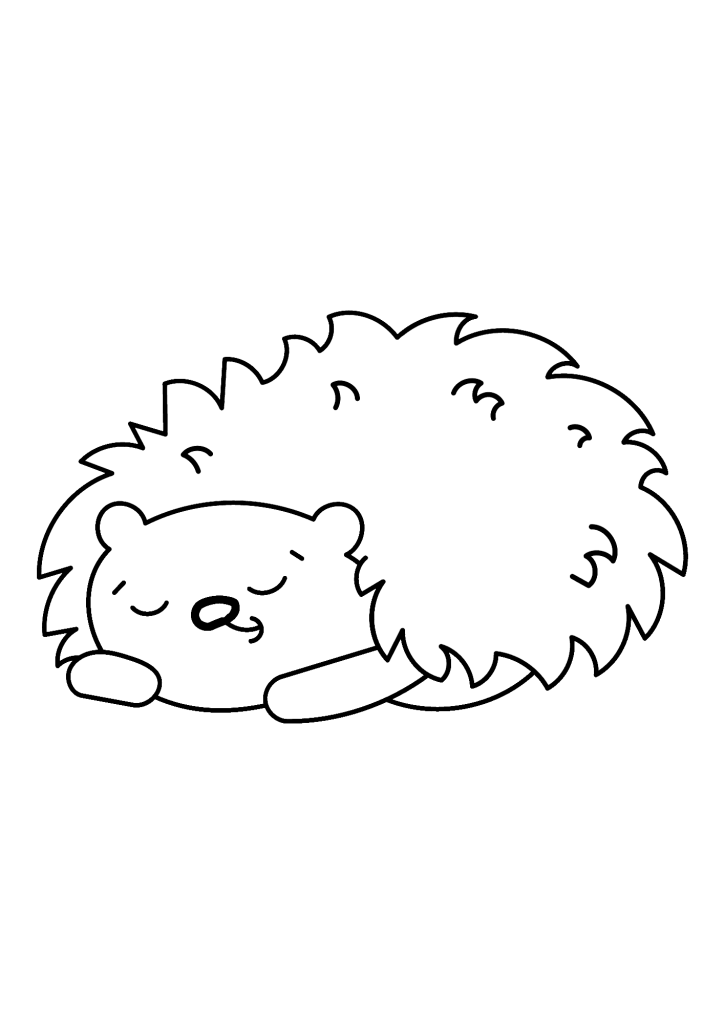 Hedgehog Printable Coloring Page
