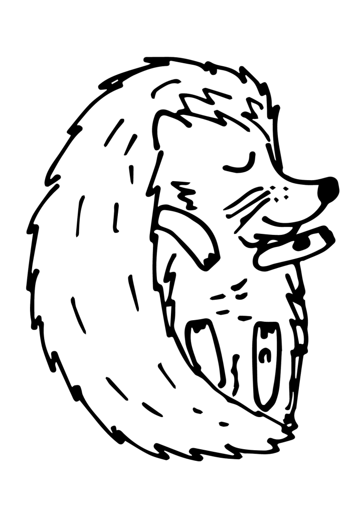 Hedgehog Sleeping For Children Coloring Page
