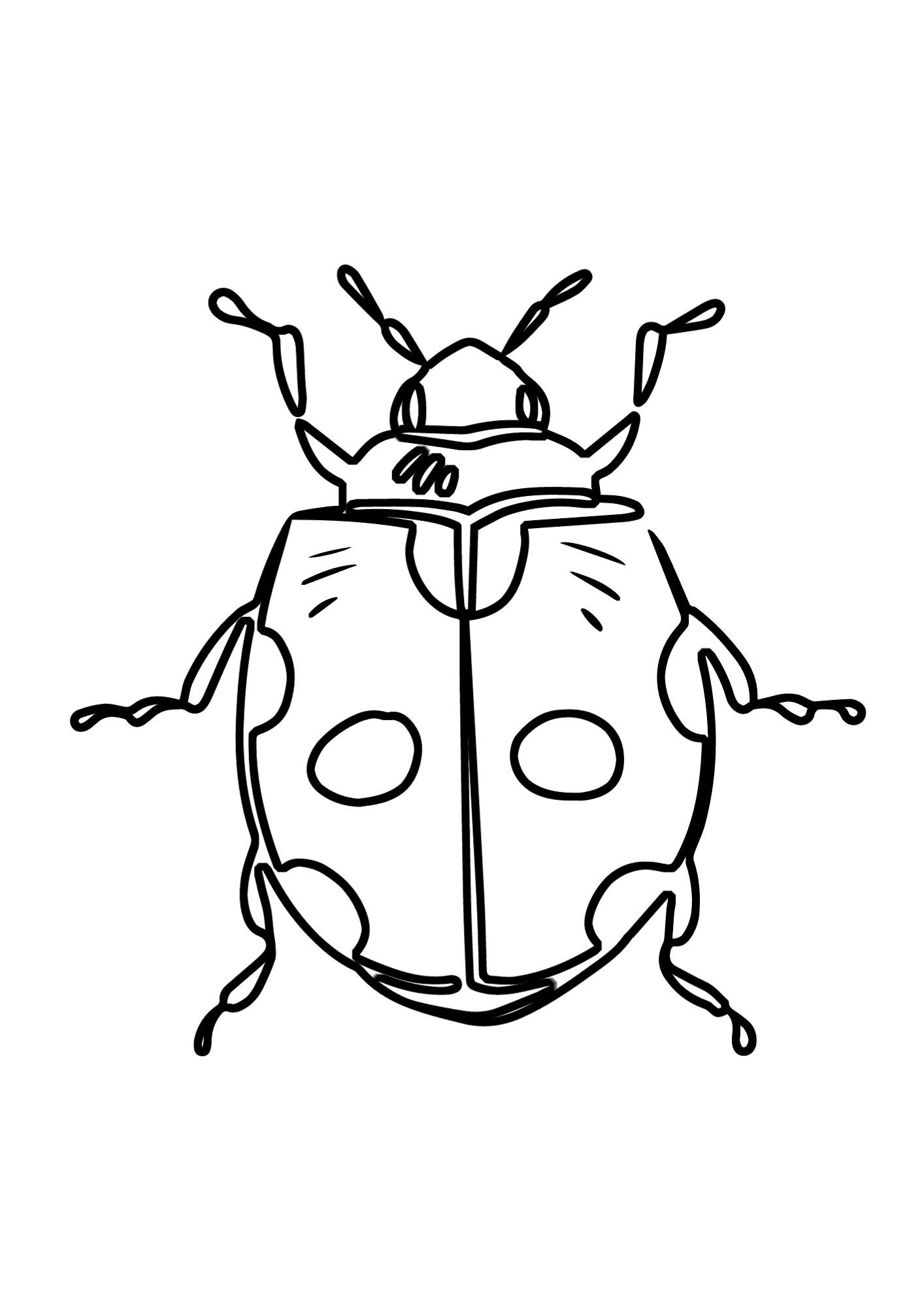 Ladybird Beetle Drawing Coloring Page