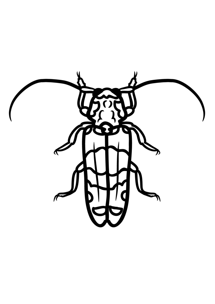 Longhorn Beetle Coloring Page