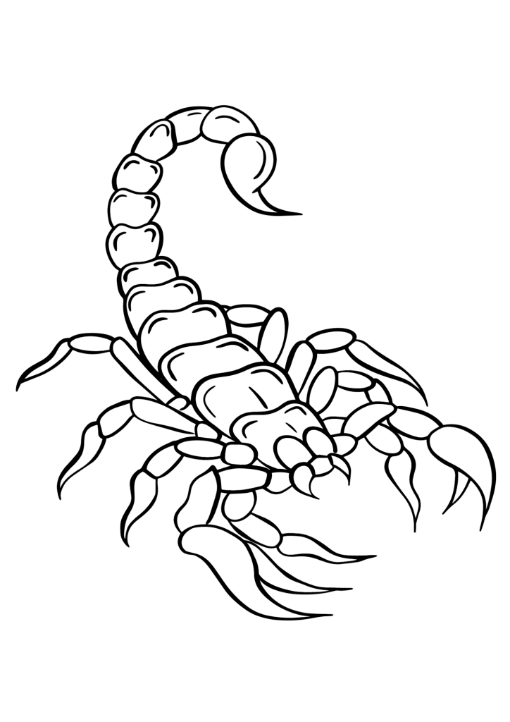 Desert Scorpion Coloring Pages