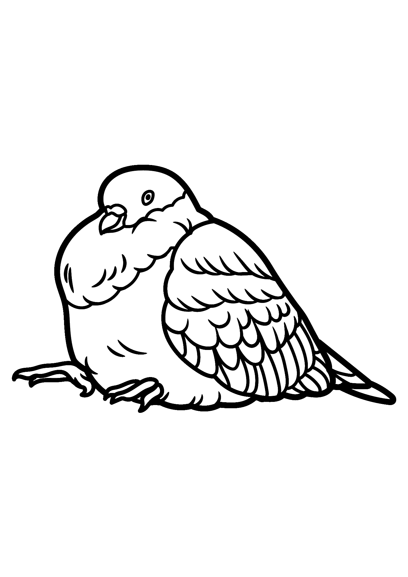 Dove Drawing Coloring Page