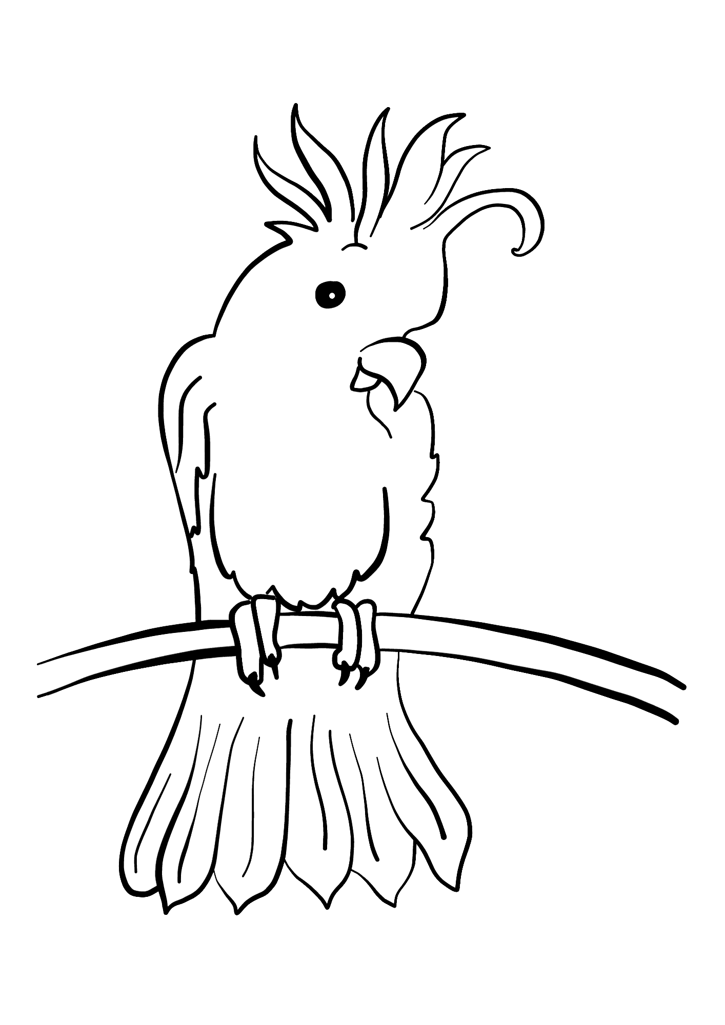 Free Cockatoo Coloring Page