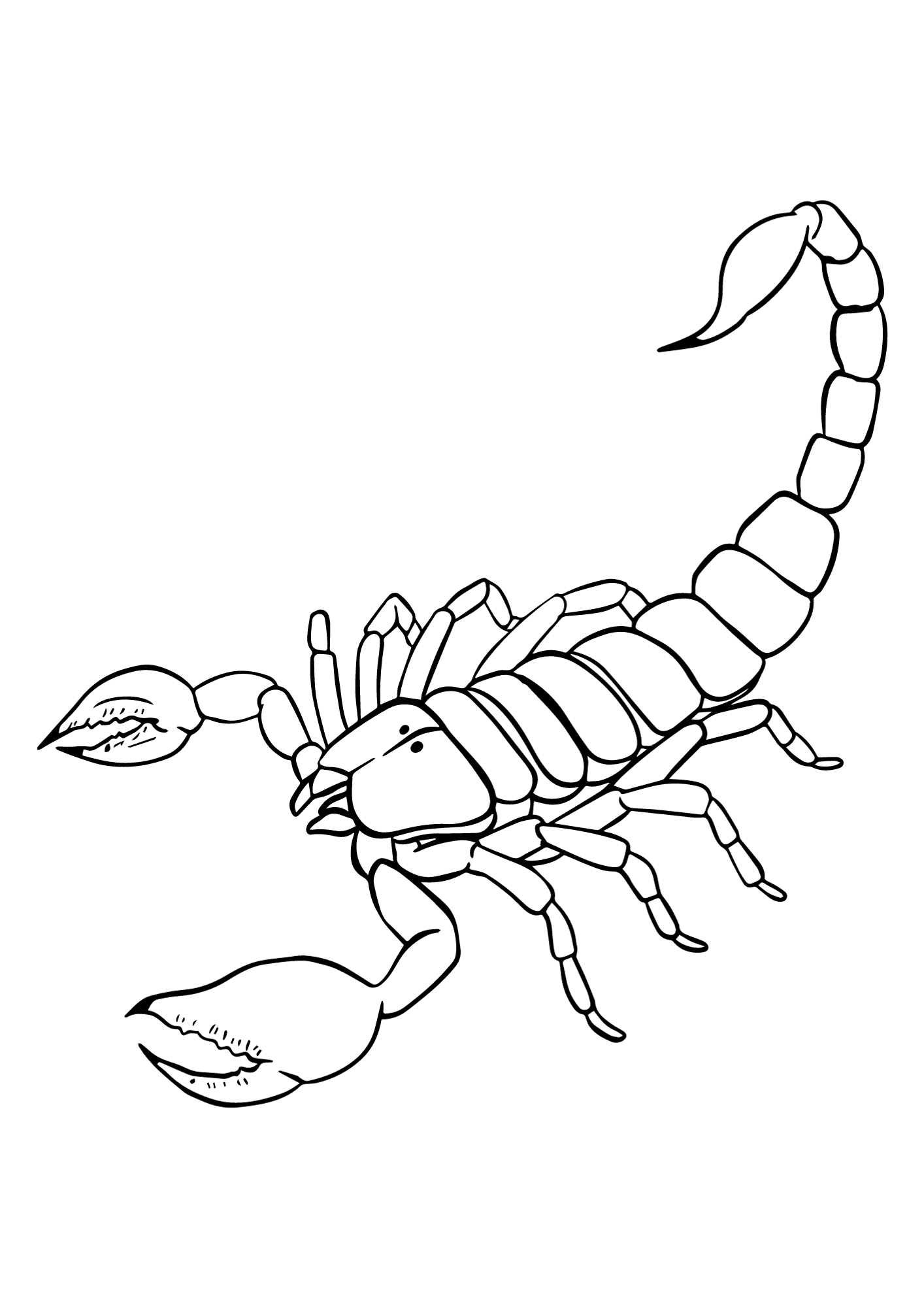 Free Printable Scorpion Coloring Pages