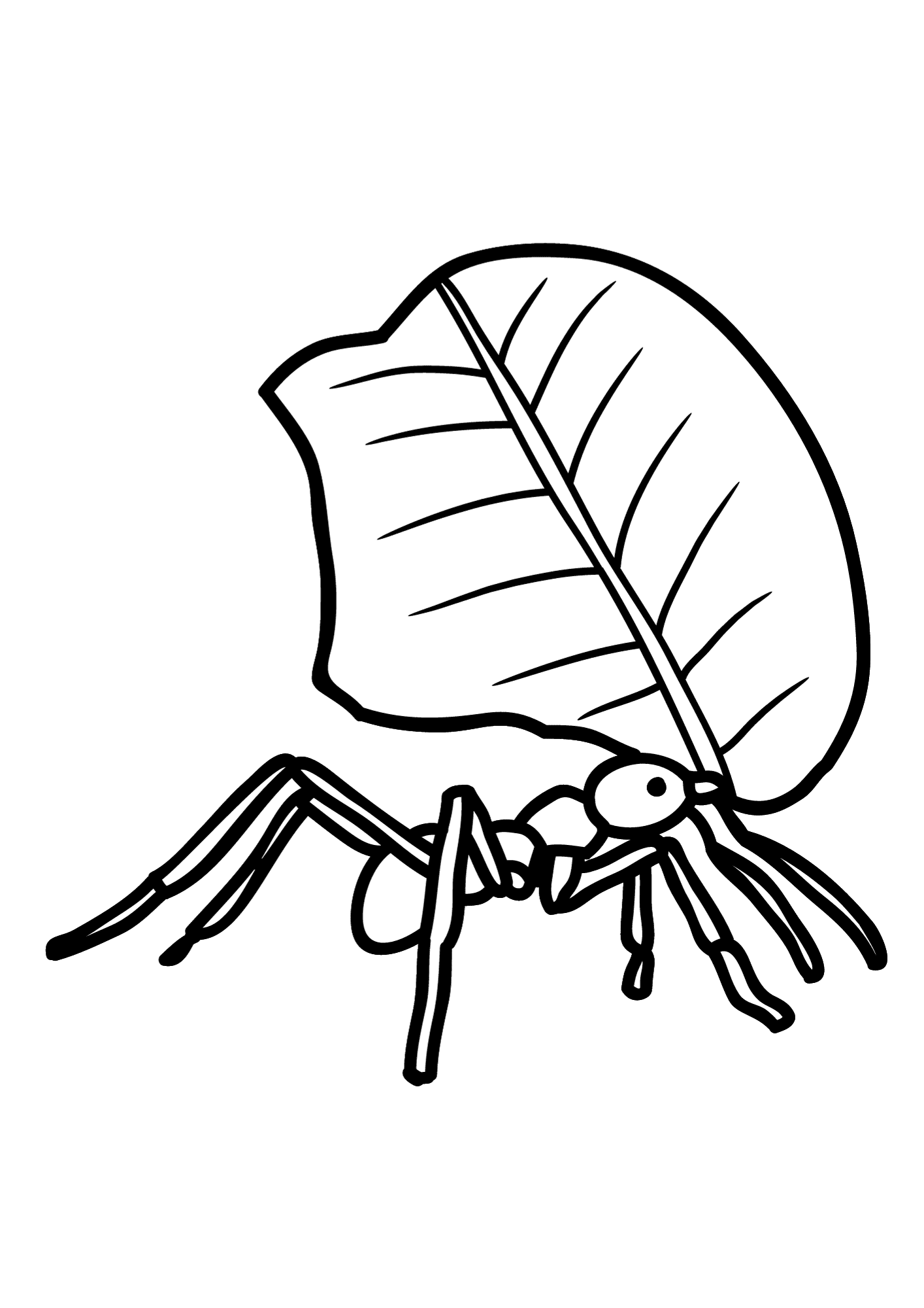 Printable Ant Coloring Pages