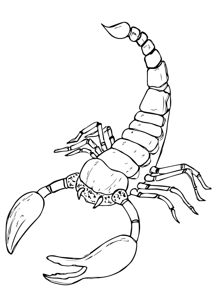 Simple Art Scorpion Coloring Page