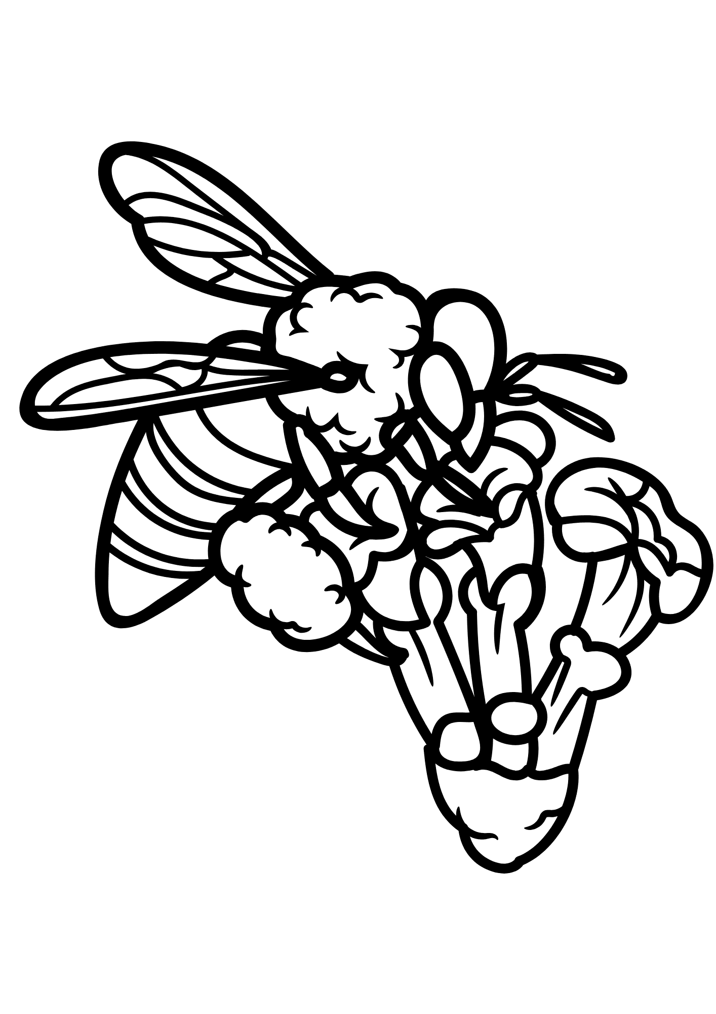 Simple Bee Drawing Coloring Page