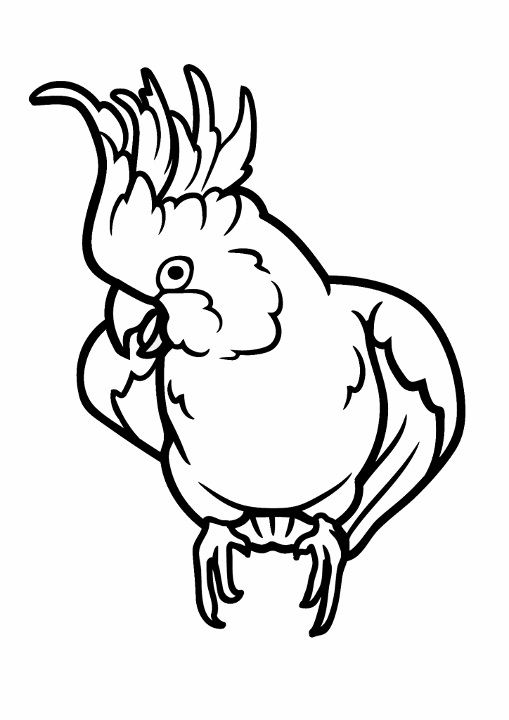 Sweet Cockatoo For Kids Coloring Page