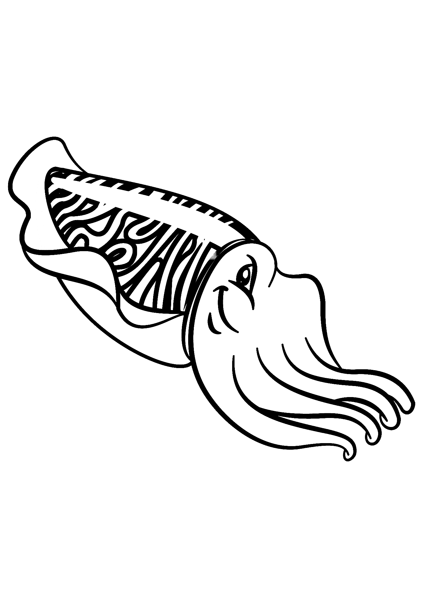 Image Of Cuttlefish Coloring Page