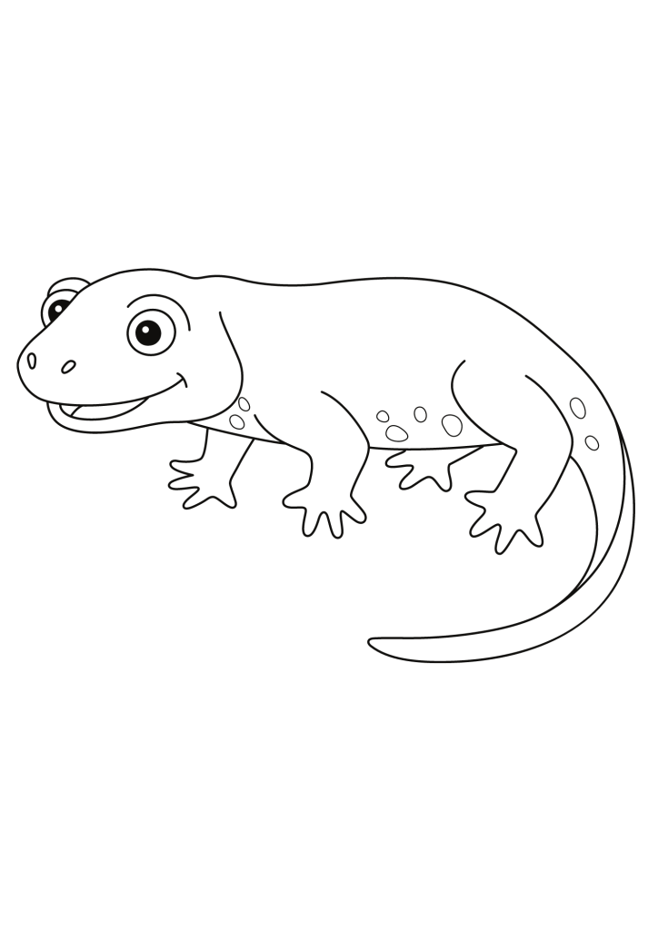 Newt Drawing Coloring Page