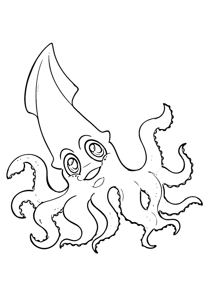 Squid Image For Children