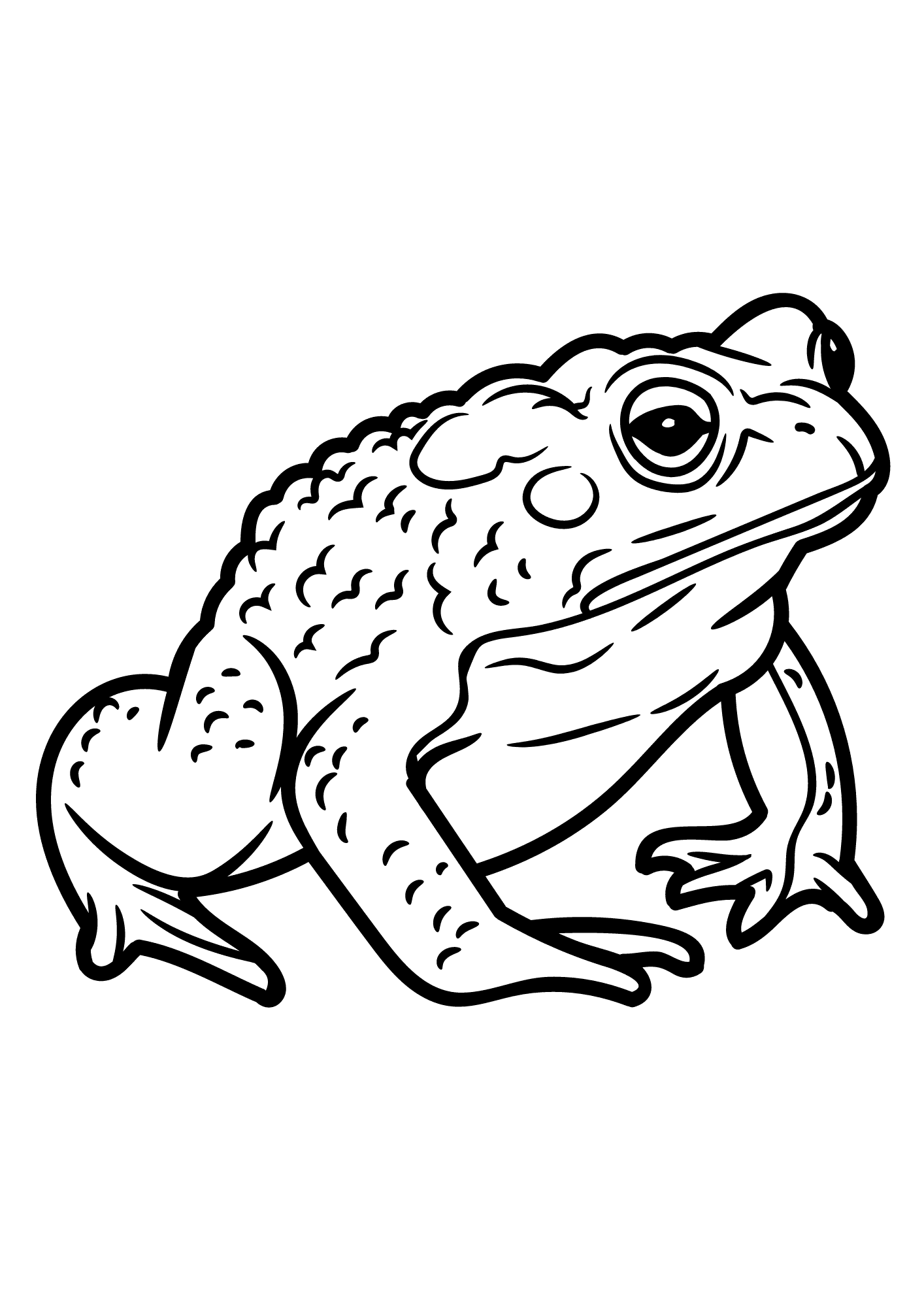 Toad Image Coloring Pages
