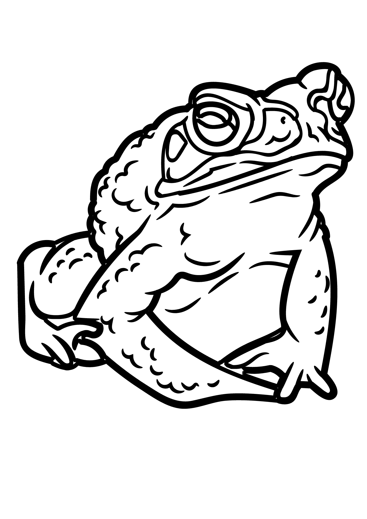 Toad Image Printable Coloring Pages