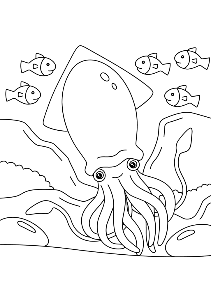 Free Squid Coloring Pages