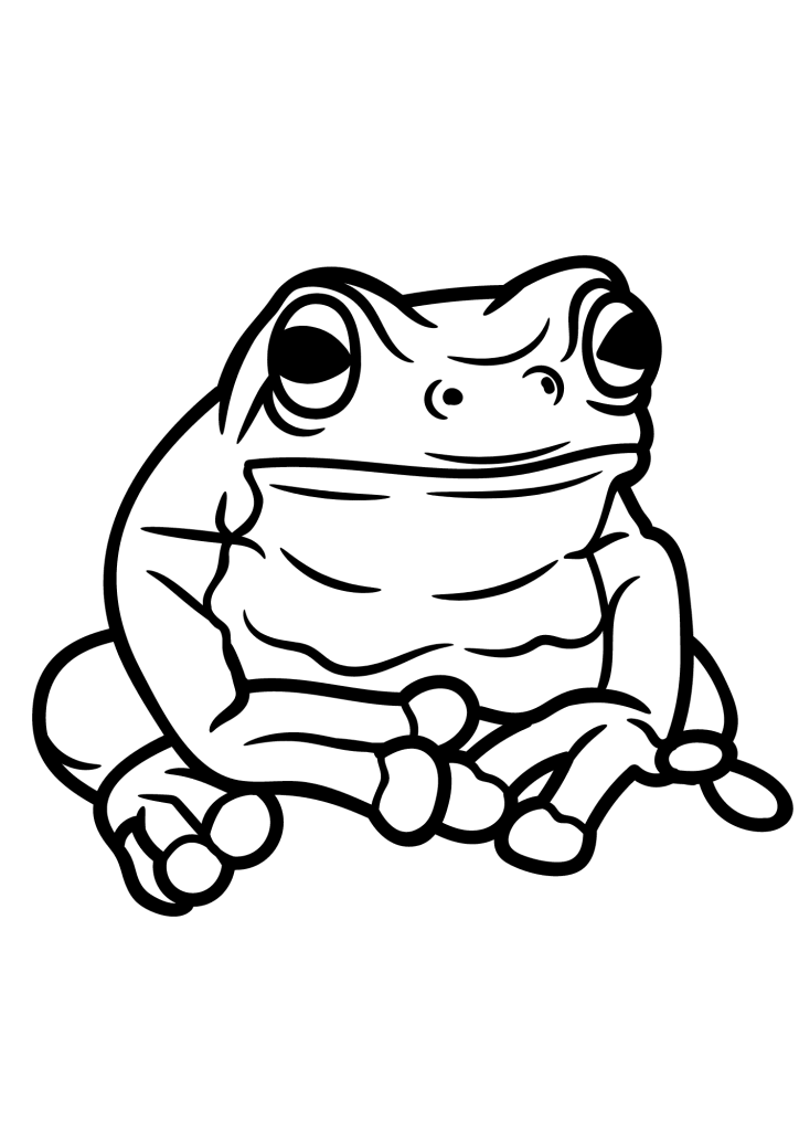 Frog Outline For Children Coloring Page