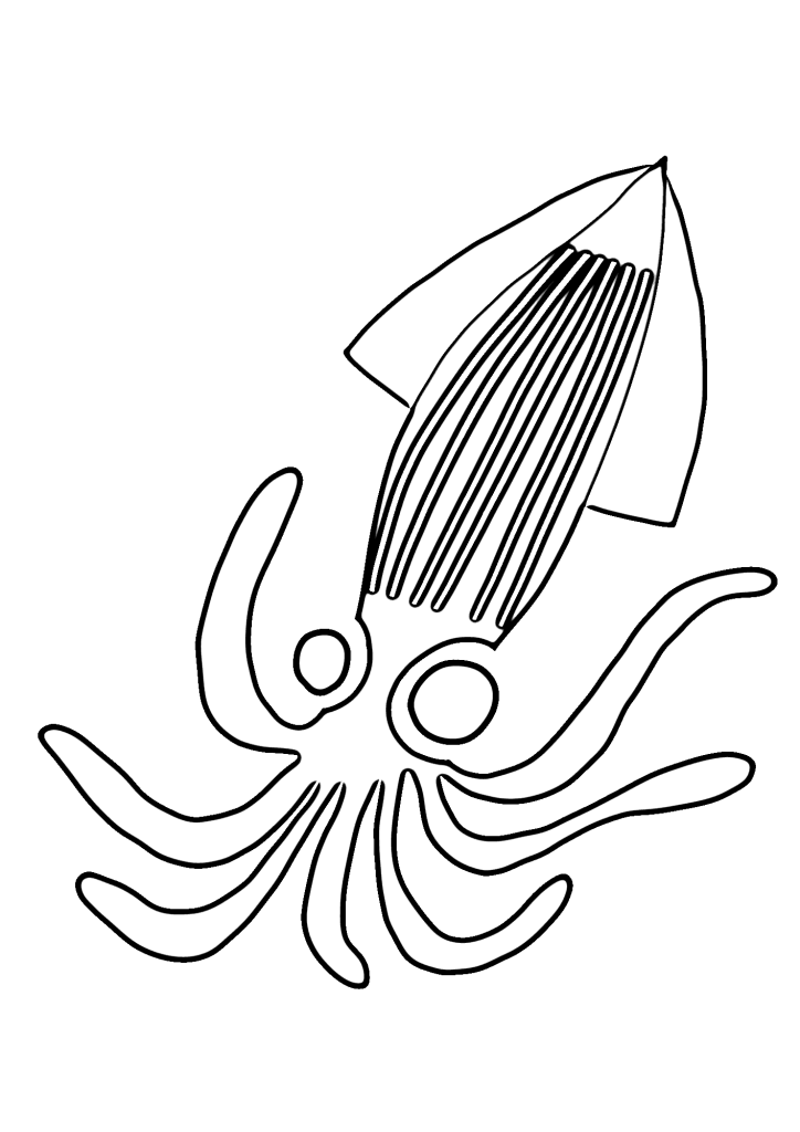 Picture Of Squid Coloring Pages