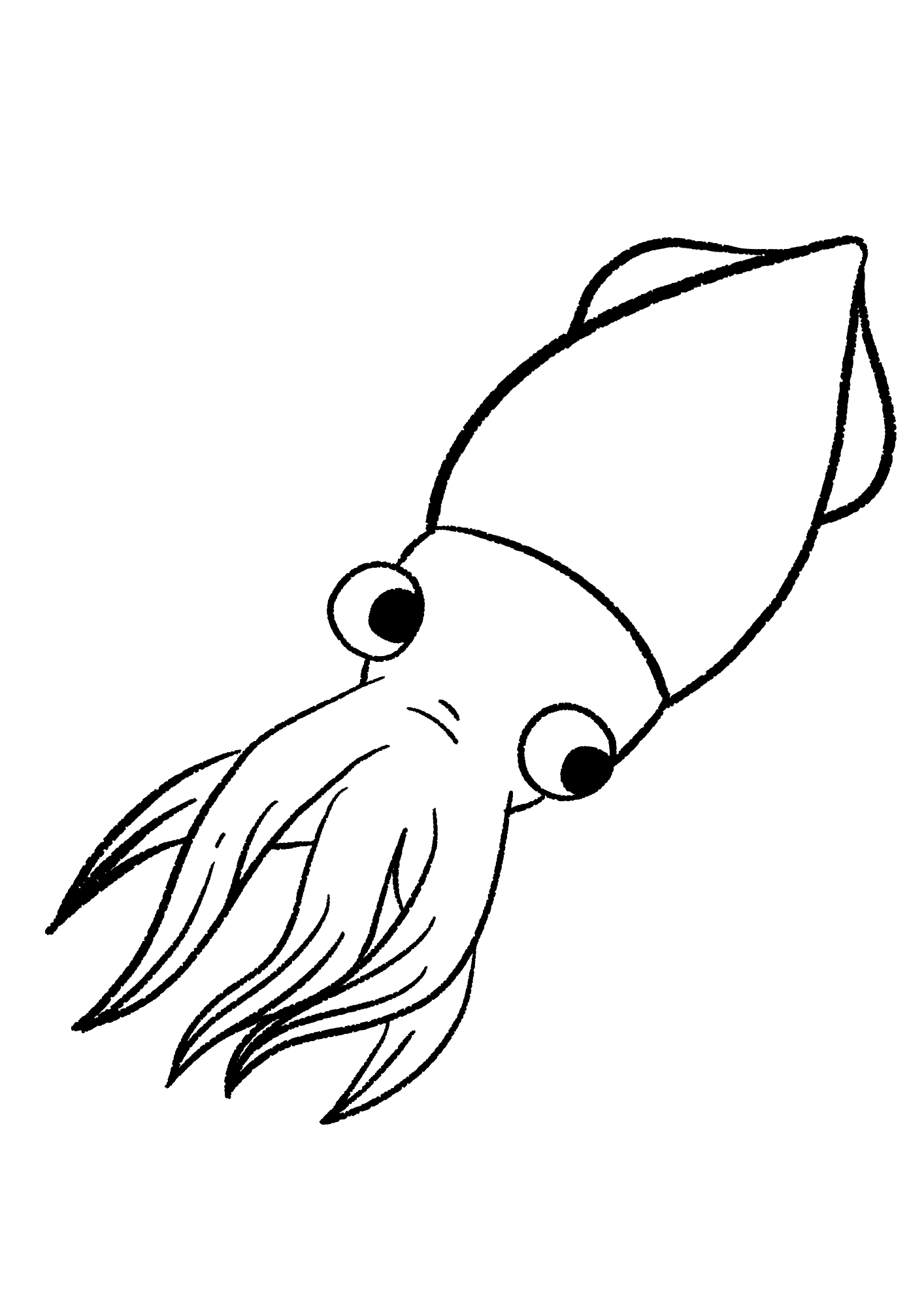 Pretty Squid Image Coloring Pages