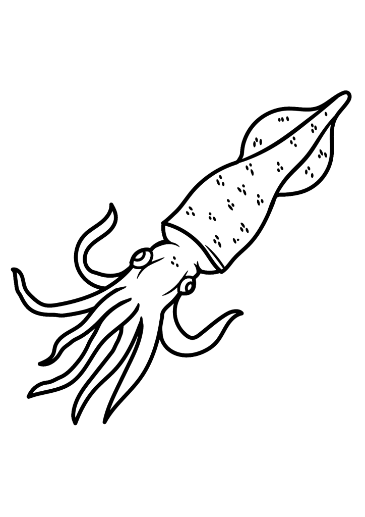 Simple Squid Coloring Pages
