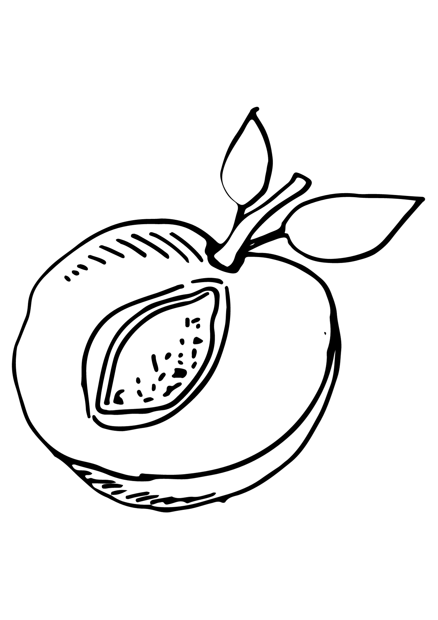 Apricot Icon Coloring Pages