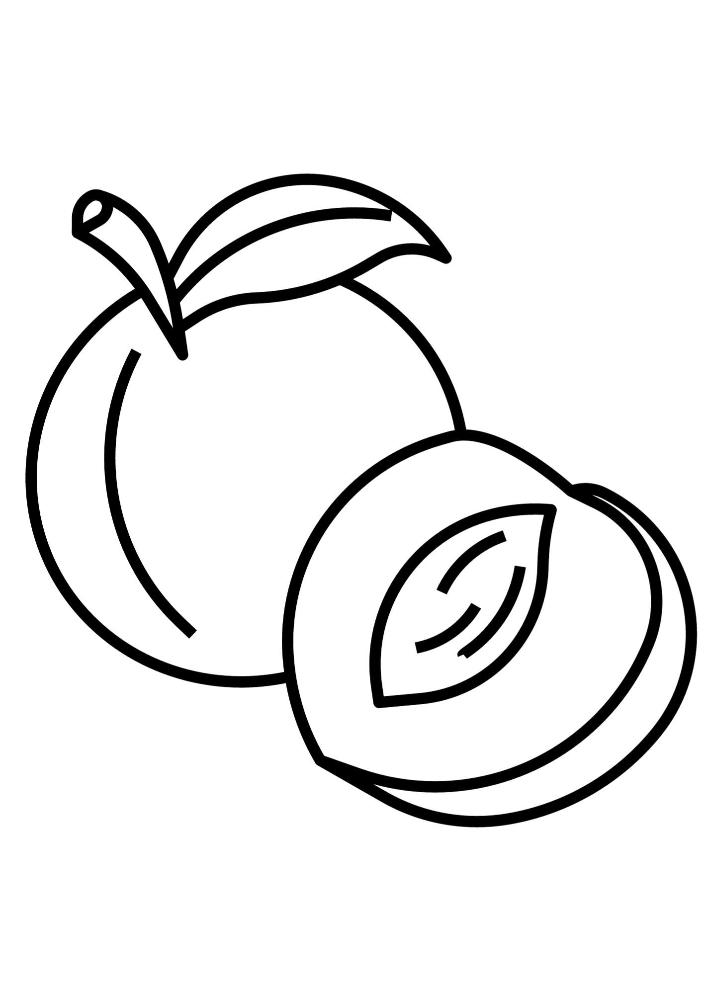 Apricot Outline Coloring Pages