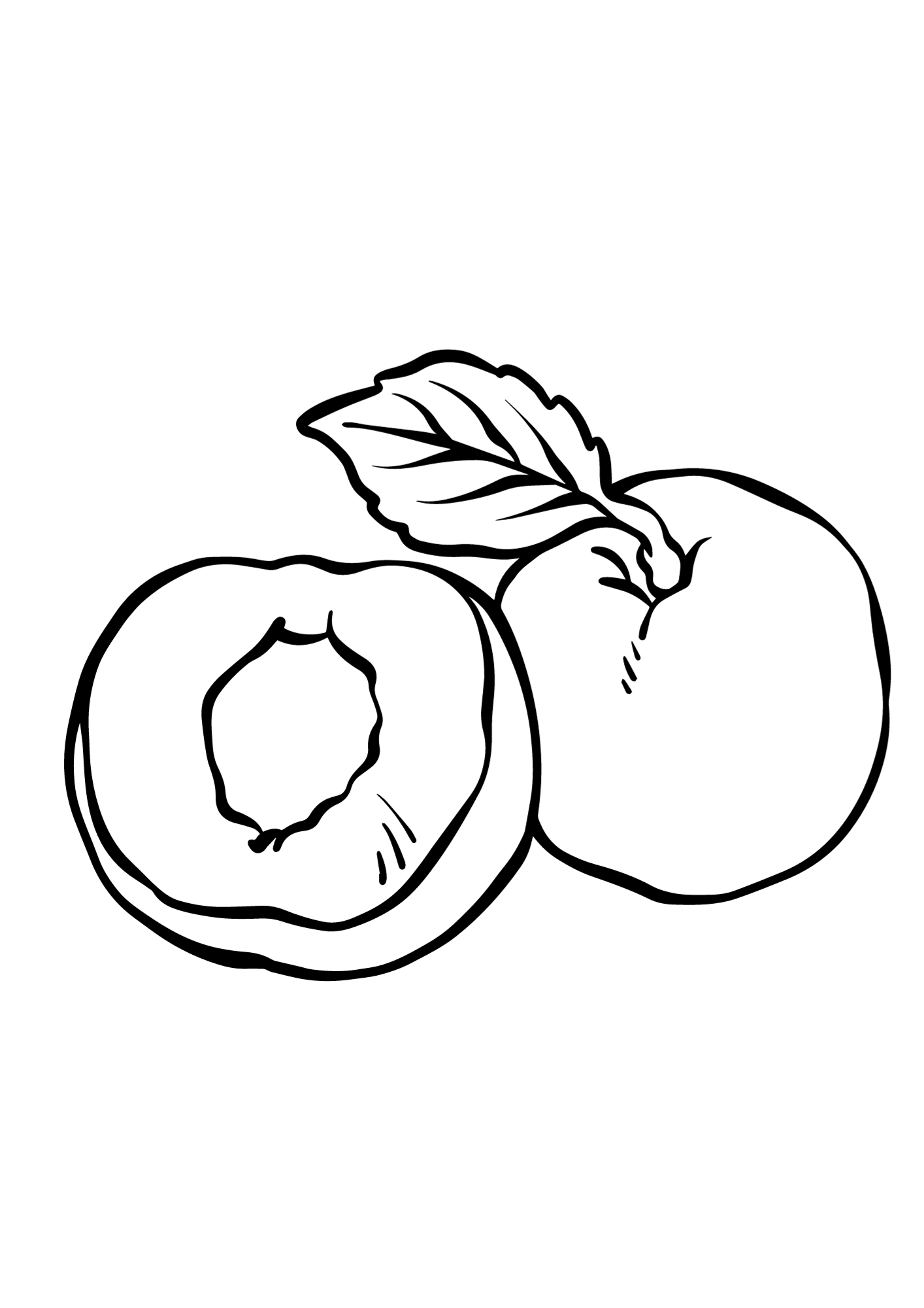 Apricot Printable Free Coloring Pages