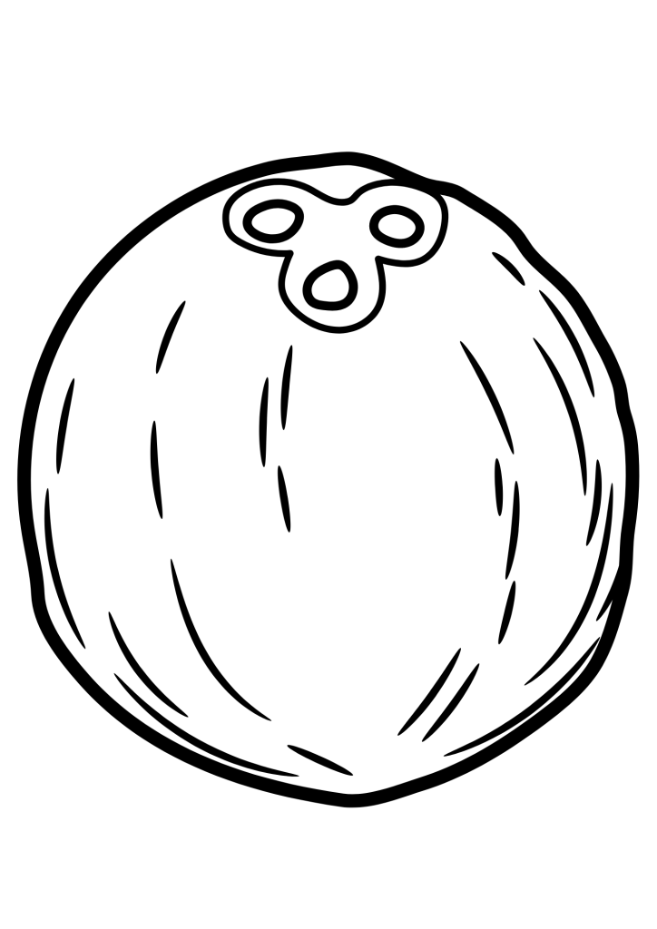 Coconut Outline Coloring Pages
