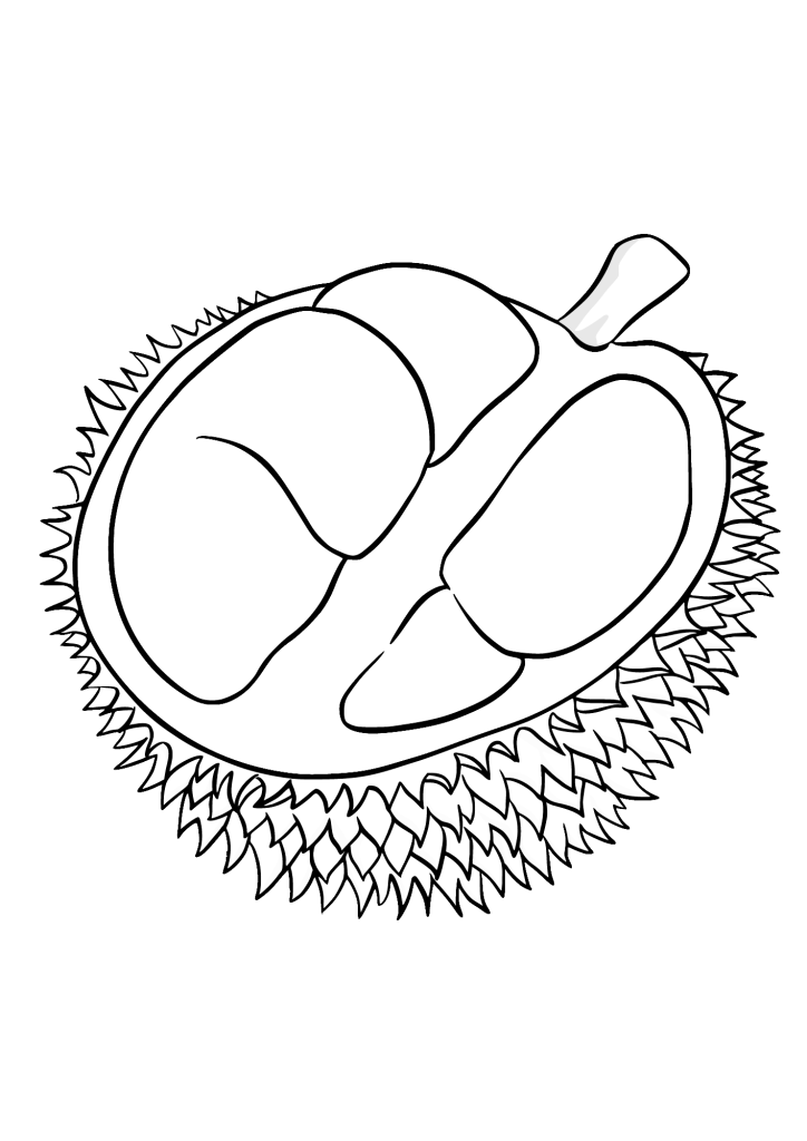 Durian Art Coloring Pages
