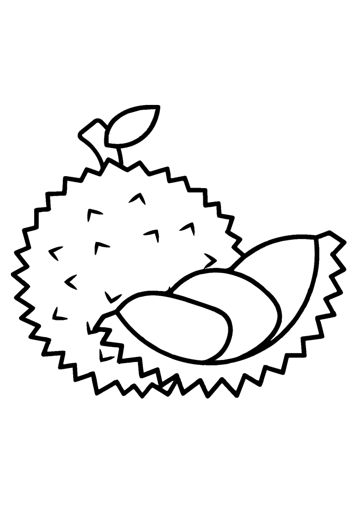 Durian Art For Kids Coloring Pages