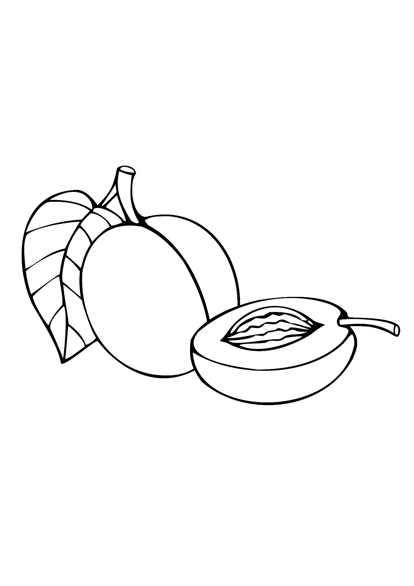 Apricot Picture Coloring Pages
