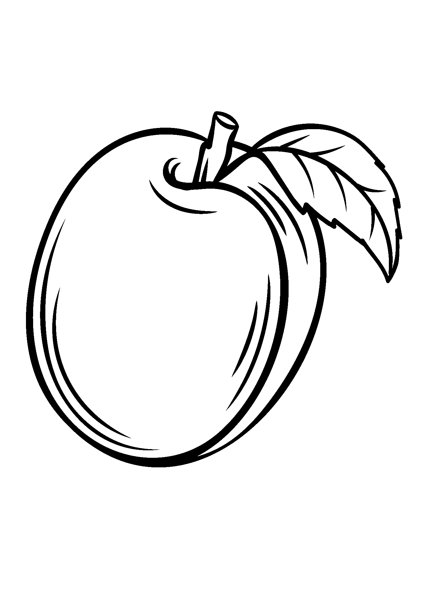 Apricot Picture For Kids Coloring Pages