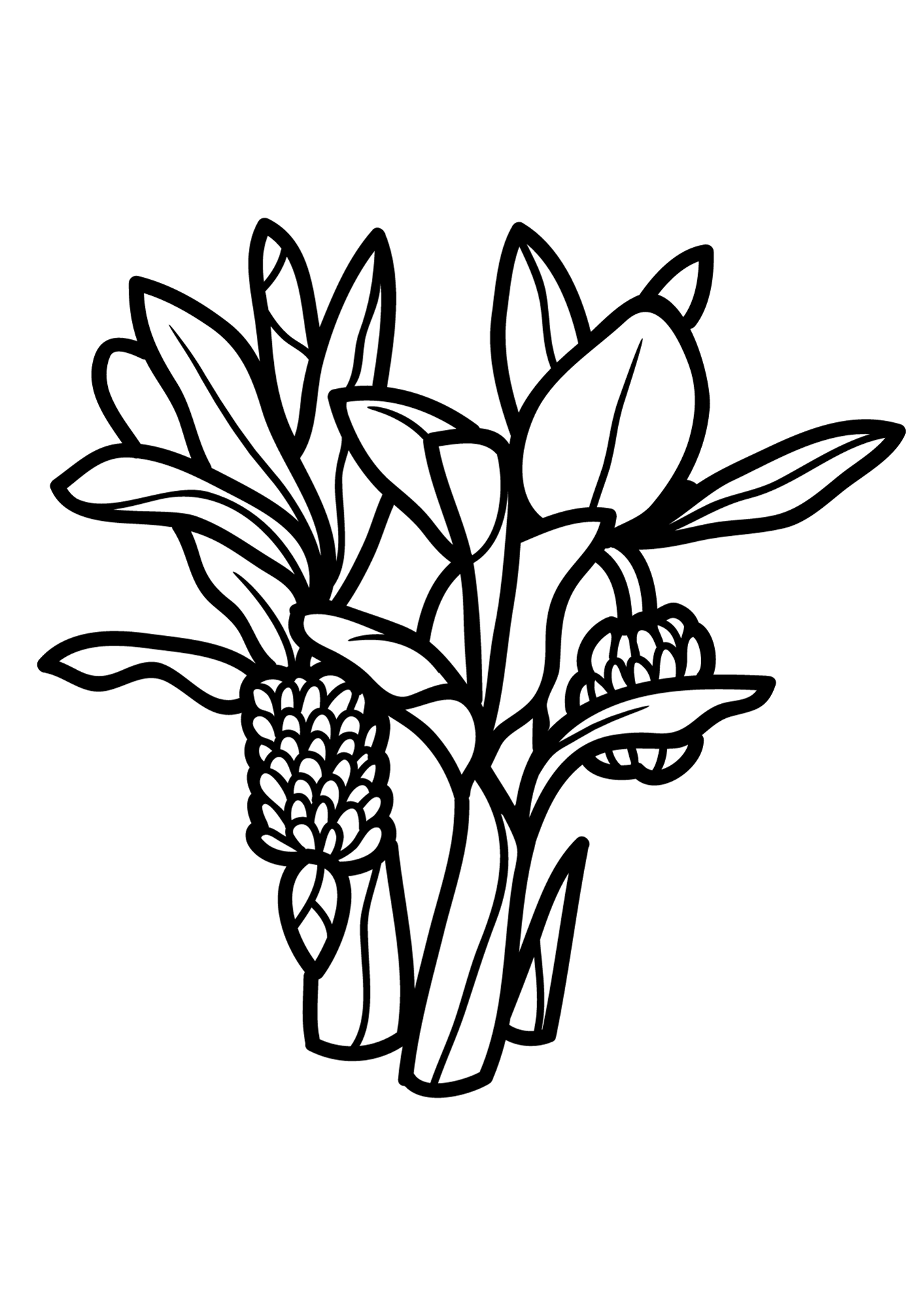 Bananas Tree Coloring Pages