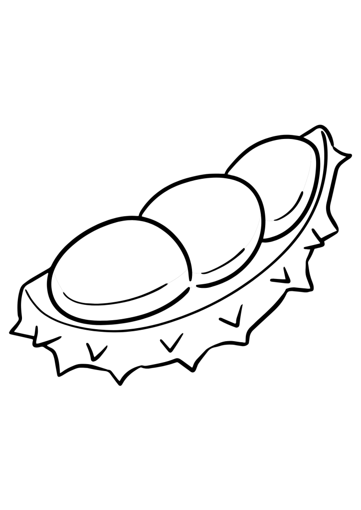 Cut Durian Coloring Pages