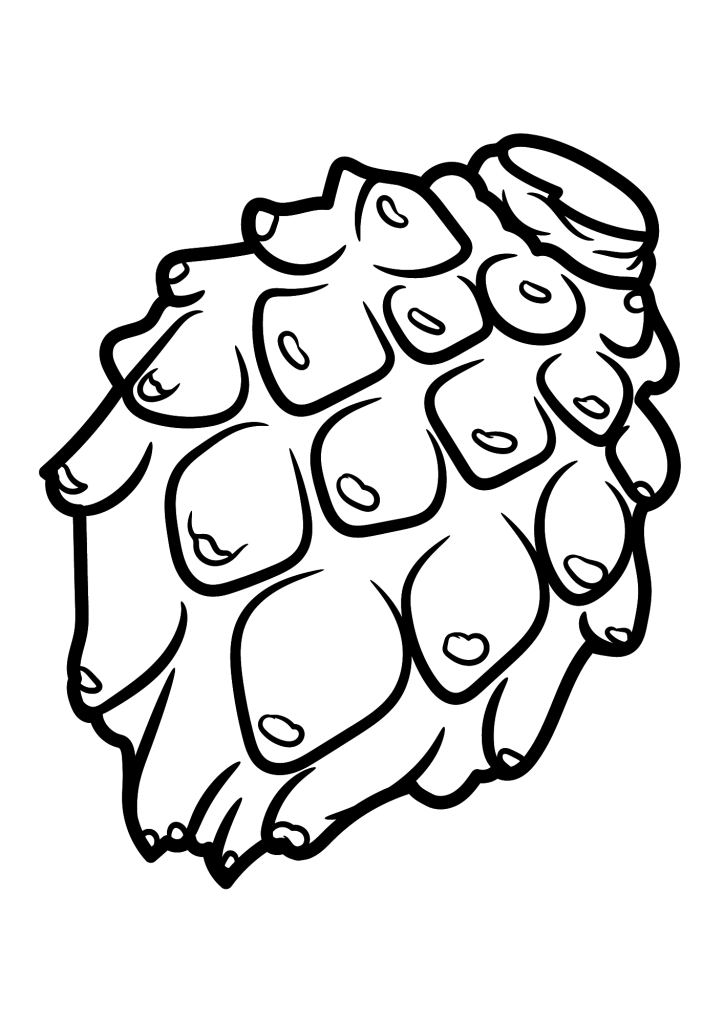 Dragon Fruit Drawing Coloring Pages