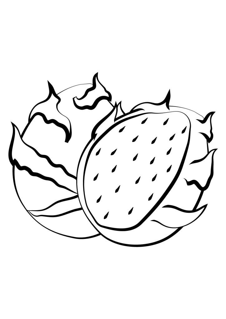 Dragon Fruit Outline Coloring Pages