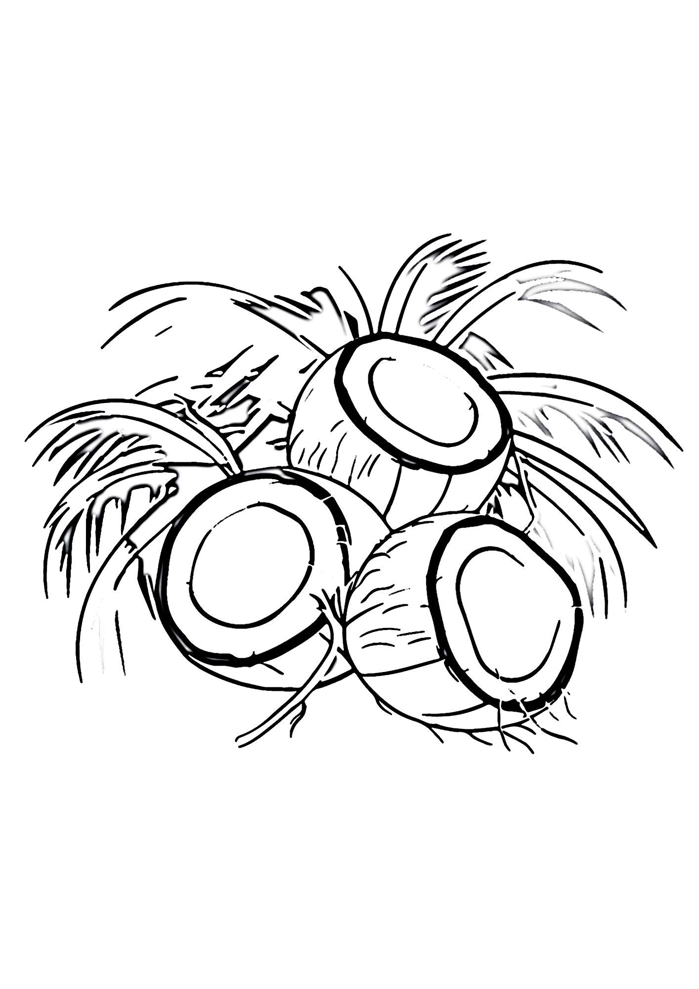 Image Of Coconut Printable Coloring Page