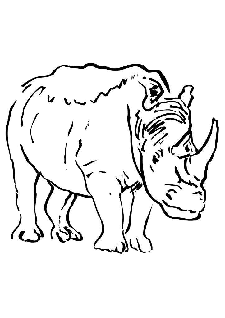 Rhino Art Coloring Page